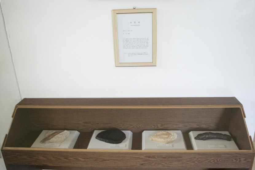 06.JPG